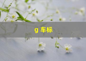 g 车标